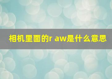 相机里面的r aw是什么意思